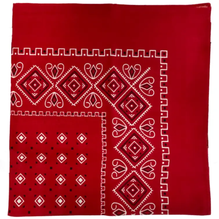 Hanky Paisley (2).webp