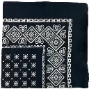 Hanky Paisley (3).webp