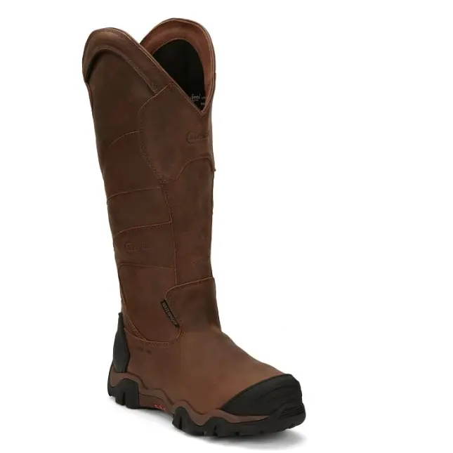 Chippewa AE5034  Snake Boot